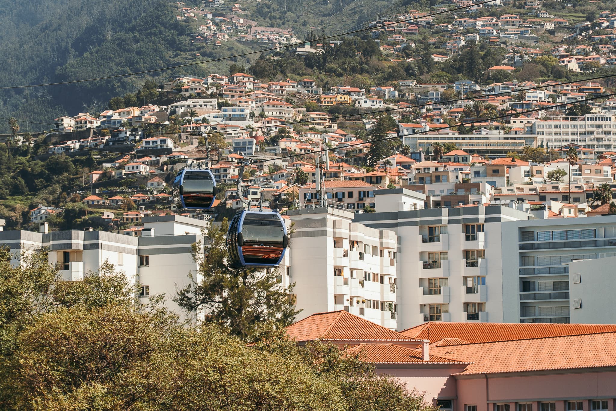 TelefericoImage